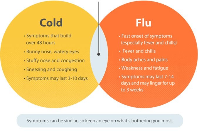 Cold & Flu - Image 1 - Codral - en-NZ