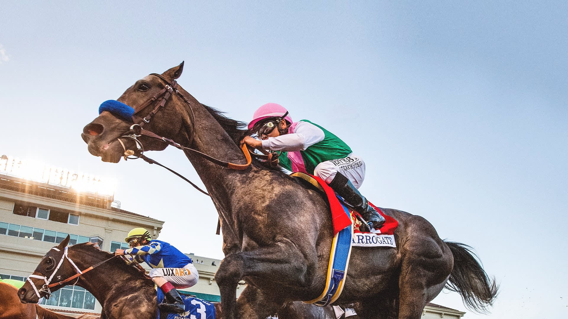 Мой любимый чемпион лошадь. Kazakhstan boys Racing Horses.