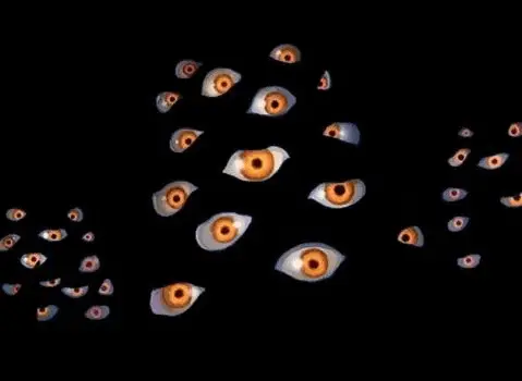 hecteyes
