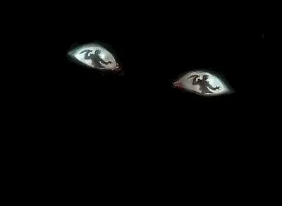 seer