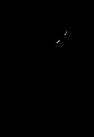 dark
