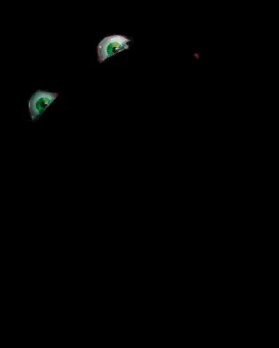 seer