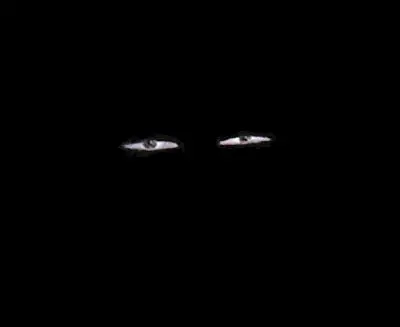 seer