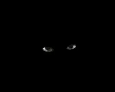 seer