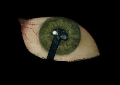 deathmark