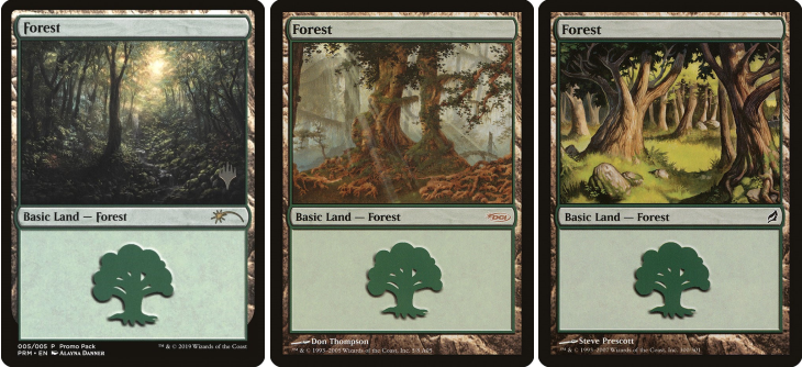 Forest