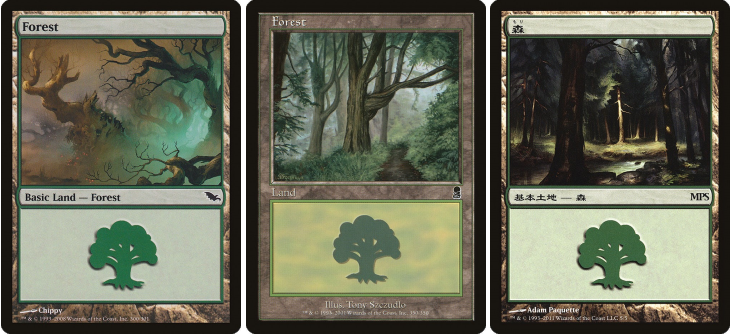 Forest