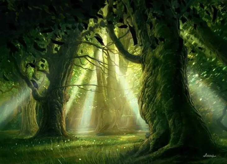 Forest