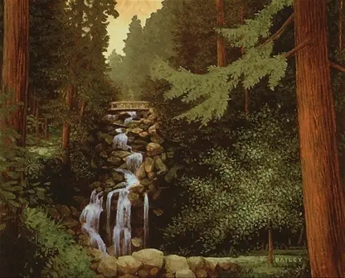 Forest