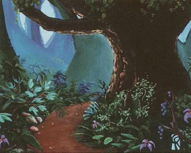 Forest