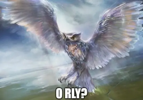 owl