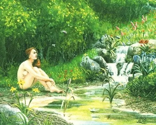 Sylvan Paradise