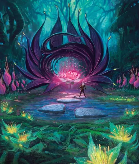 exploration