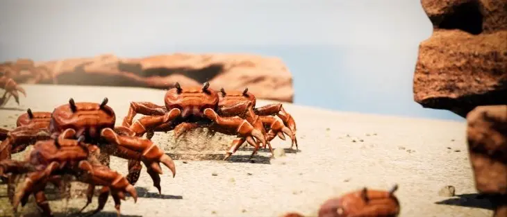 crab invasion photo