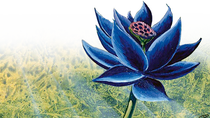 black lotus