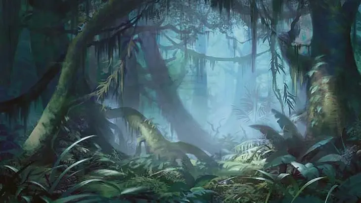 misty rainforest