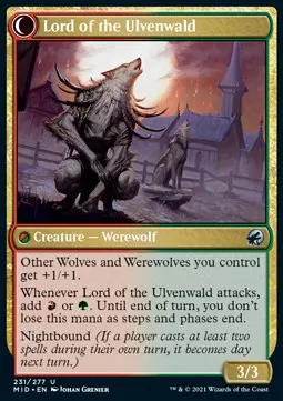 lord of the ulvenwald