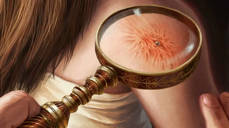 magnifying glass