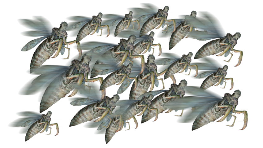 insectile aberration