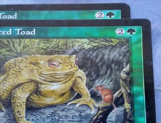 Strange corner on this Toad but still real