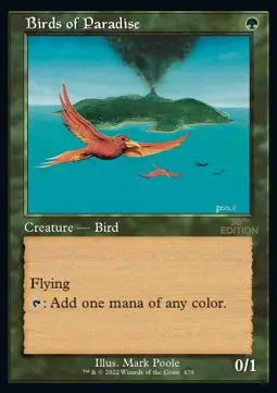 birds of paradise