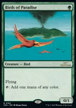 birds of paradise