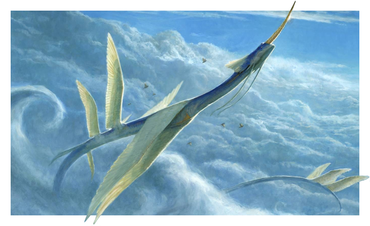 yorion