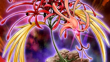 Phoenixian Cluster Amaryllis