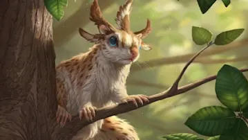 squirrel sovereign