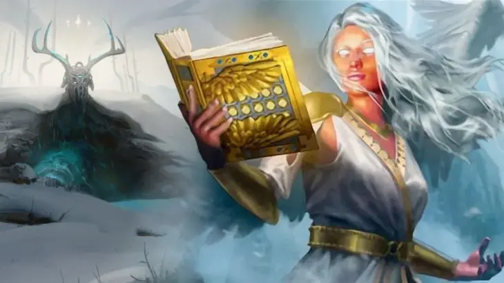 haven - book