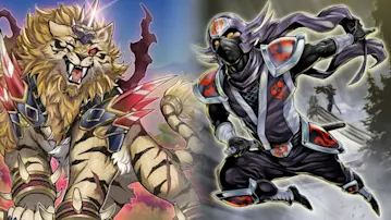 hanzo - liger