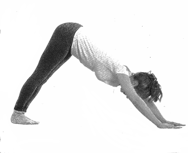 Downward dog pose in Chinese