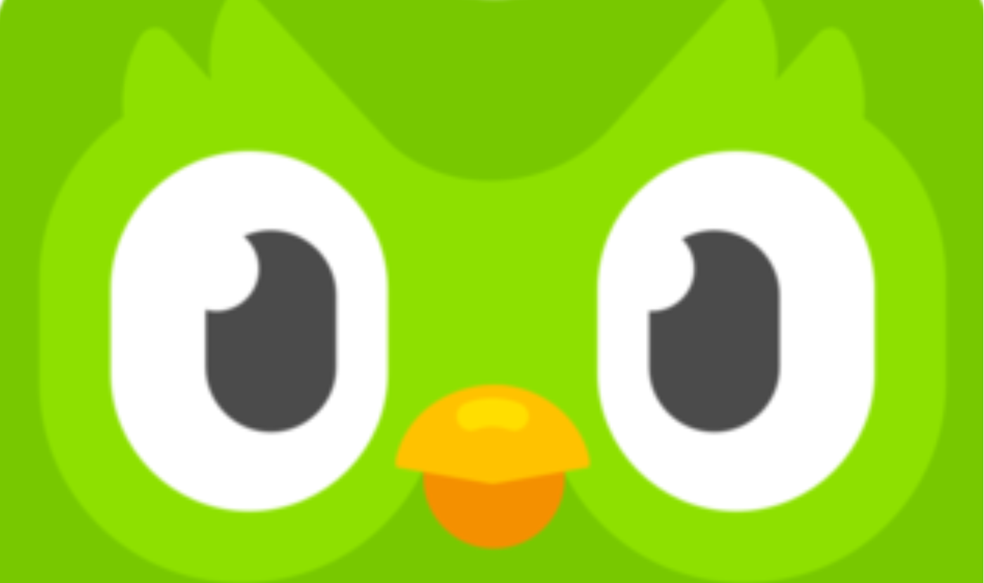 Culture Yard Can you learn Chinese on Duolingo? A detailed review