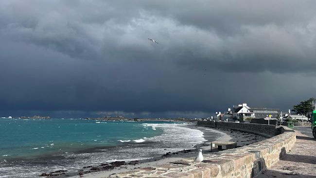 Credit Tracey Atkinson