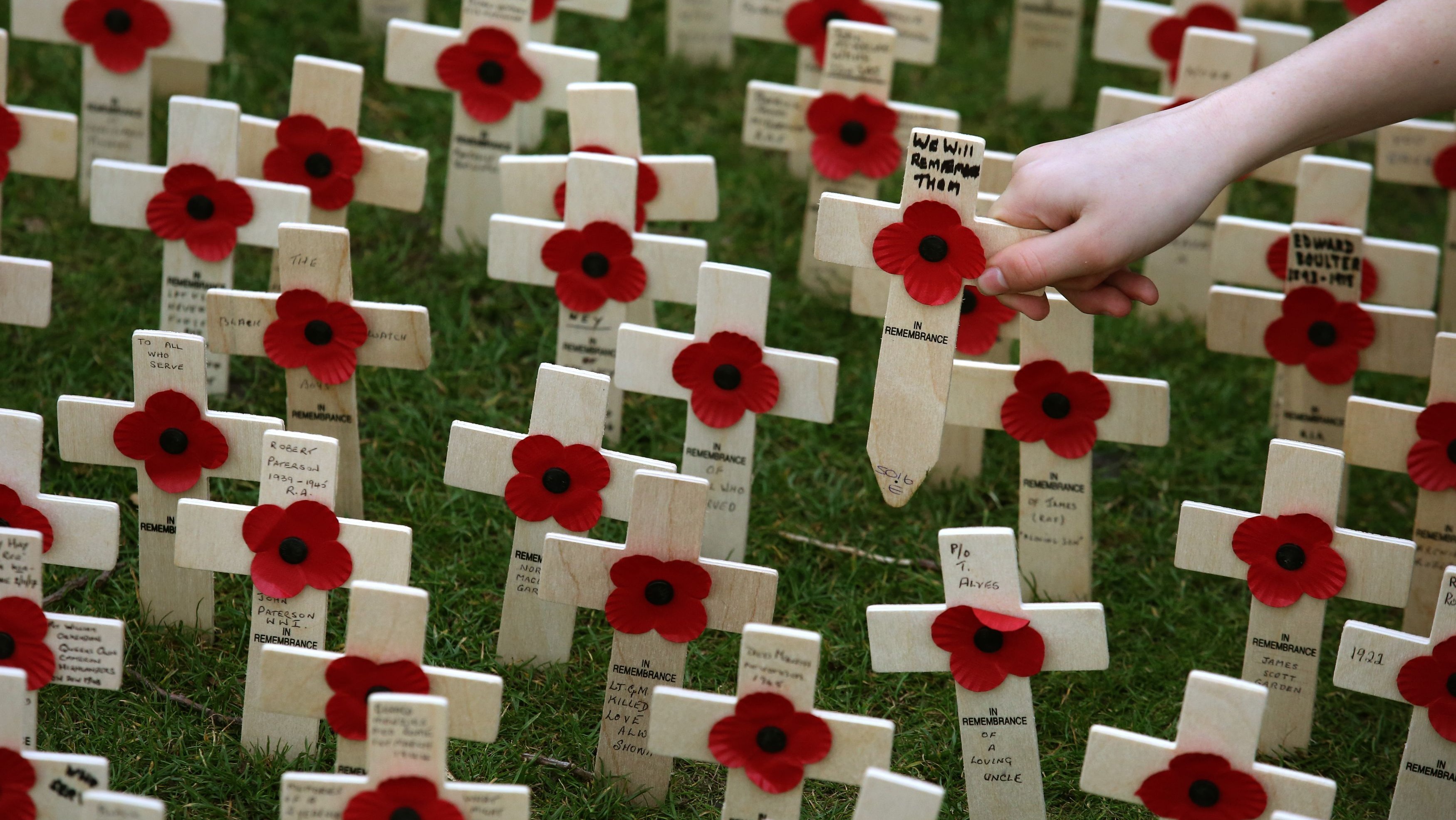 Poppy day презентация