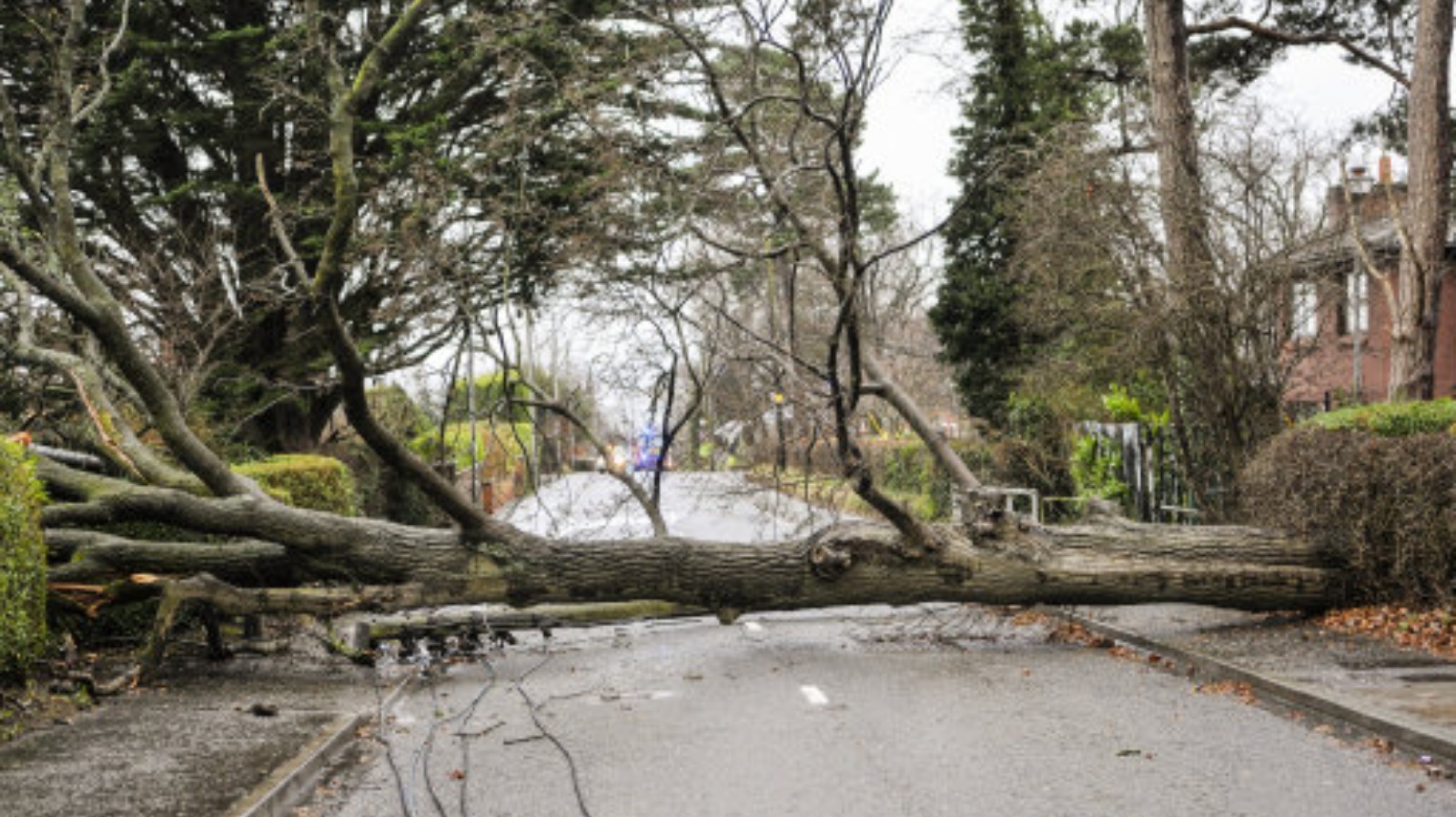 Get Prepared: How Storm Barney could impact The Midlands | ITV News Central