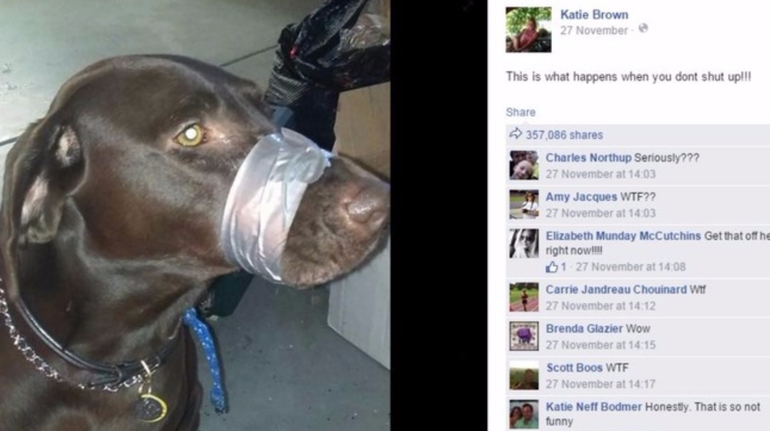 Woman who duct-taped dog's mouth shut tracked down and faces prison