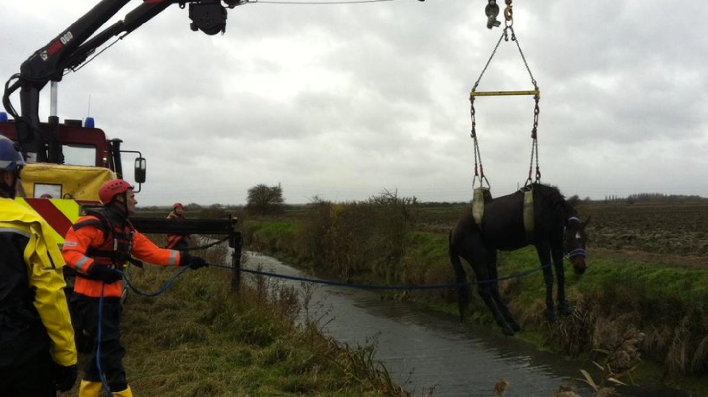 Trapped horse rescued by firefighters in Kent | ITV News Meridian
