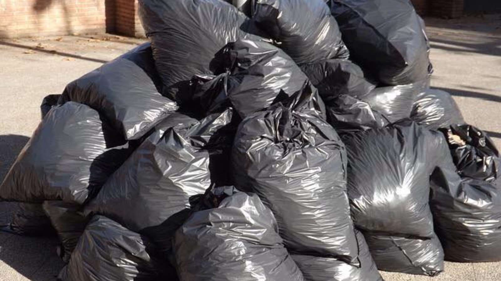 Conwy councillors back plans for fourweekly black bin collections