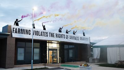 animal Justice Project