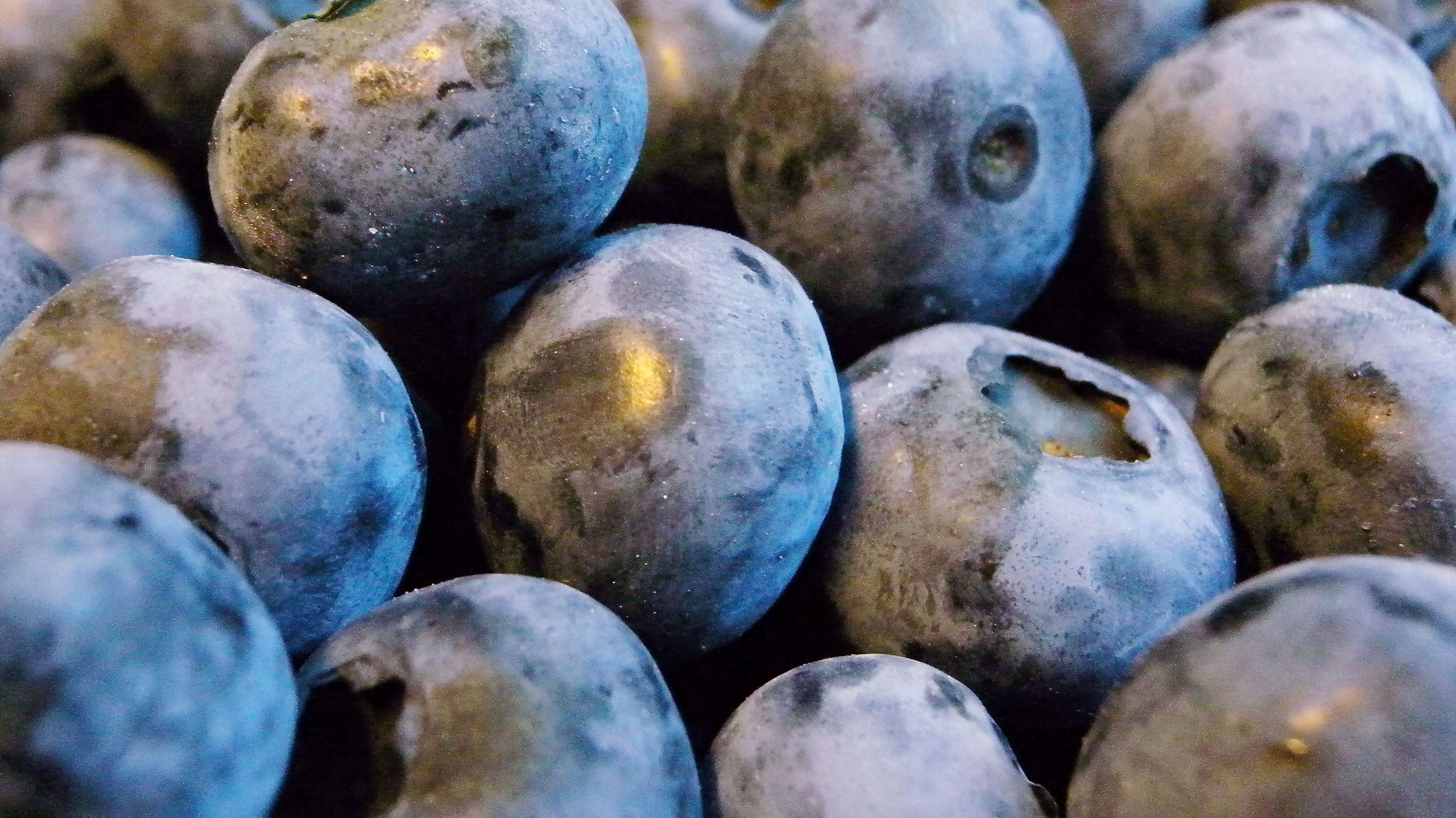 Blueberries 'may protect against Alzheimer's' ITV News
