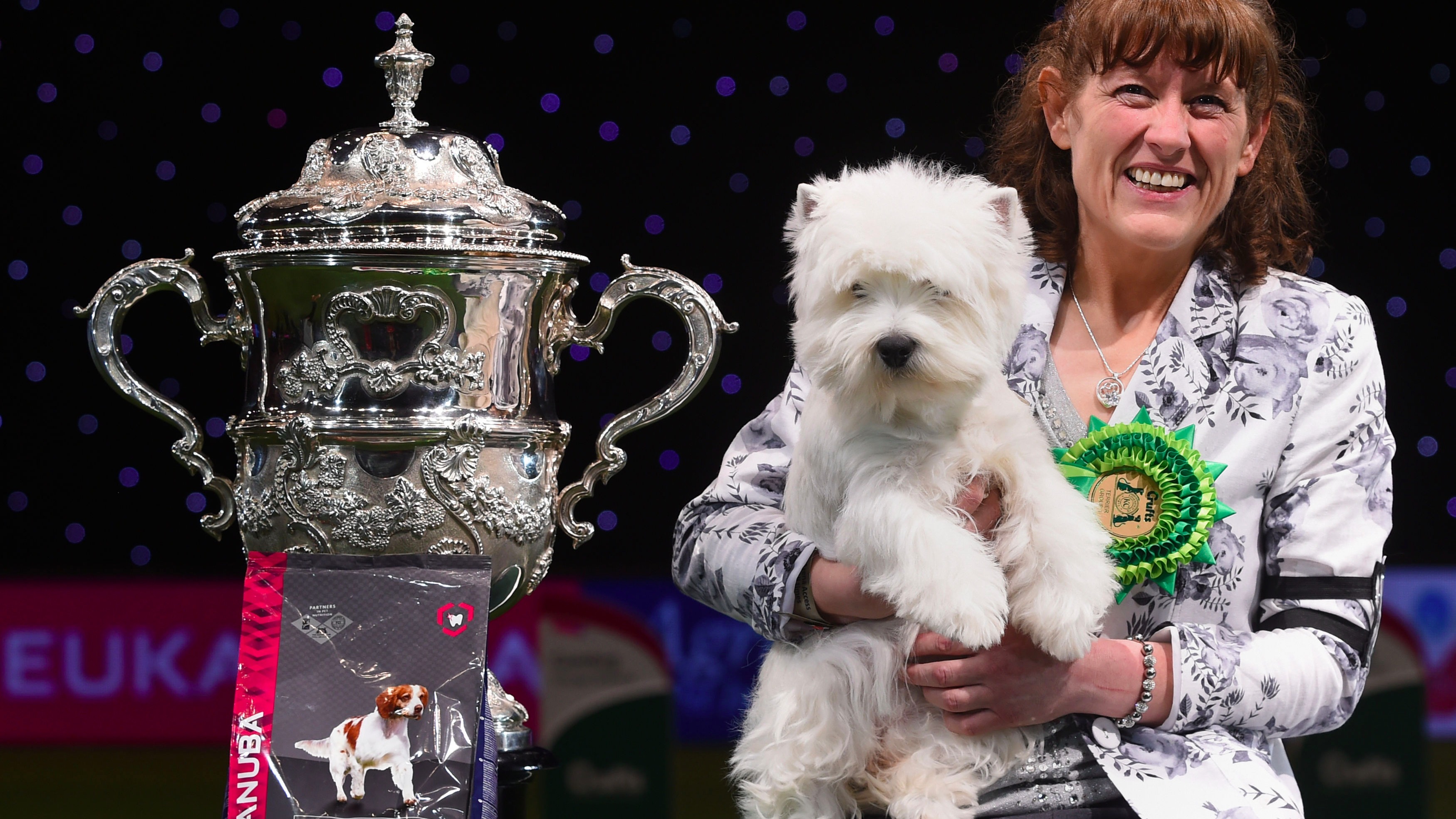 Geordie Girl the Westie named Best in Show at Crufts 2016 | ITV News ...