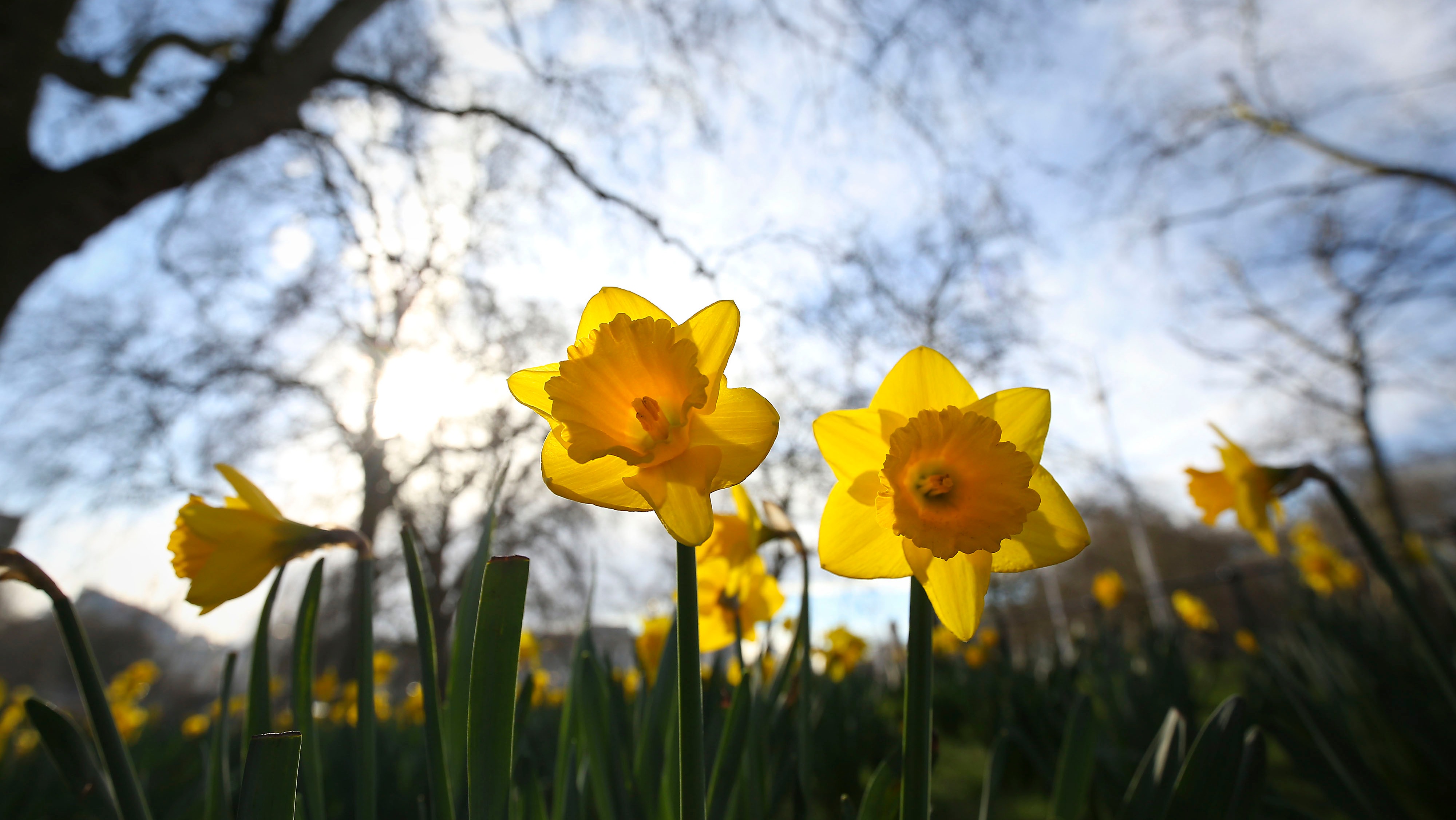 Weather: Sunny spells on Wednesday, highs of 13C | ITV News London