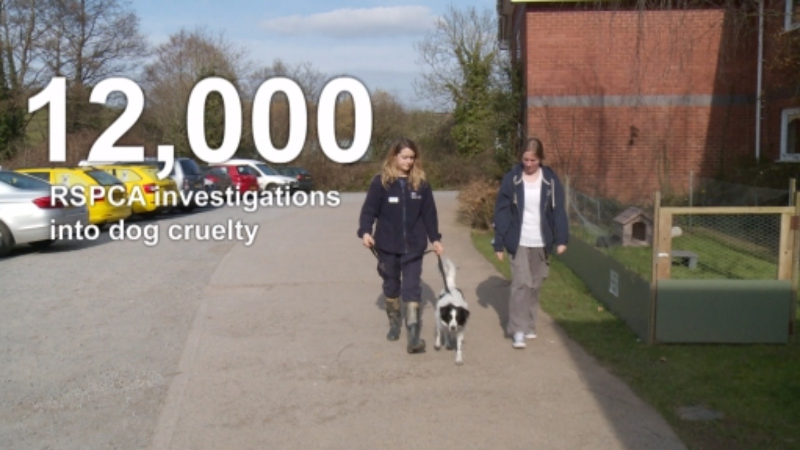 RSPCA Report Reveals Extreme Cases Of Cruelty | ITV News West Country