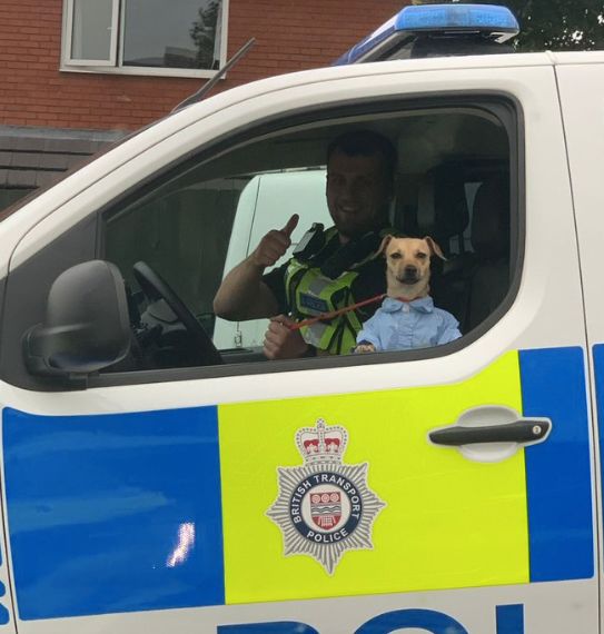 British police hot sale dog