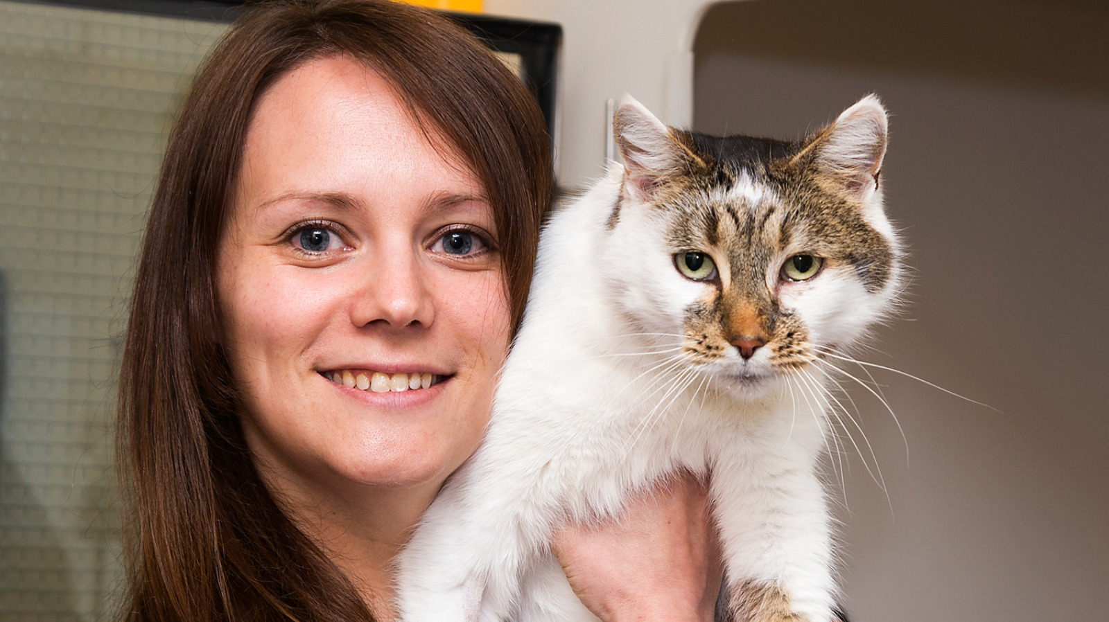 missing-cat-reunited-with-owner-after-six-years-itv-news