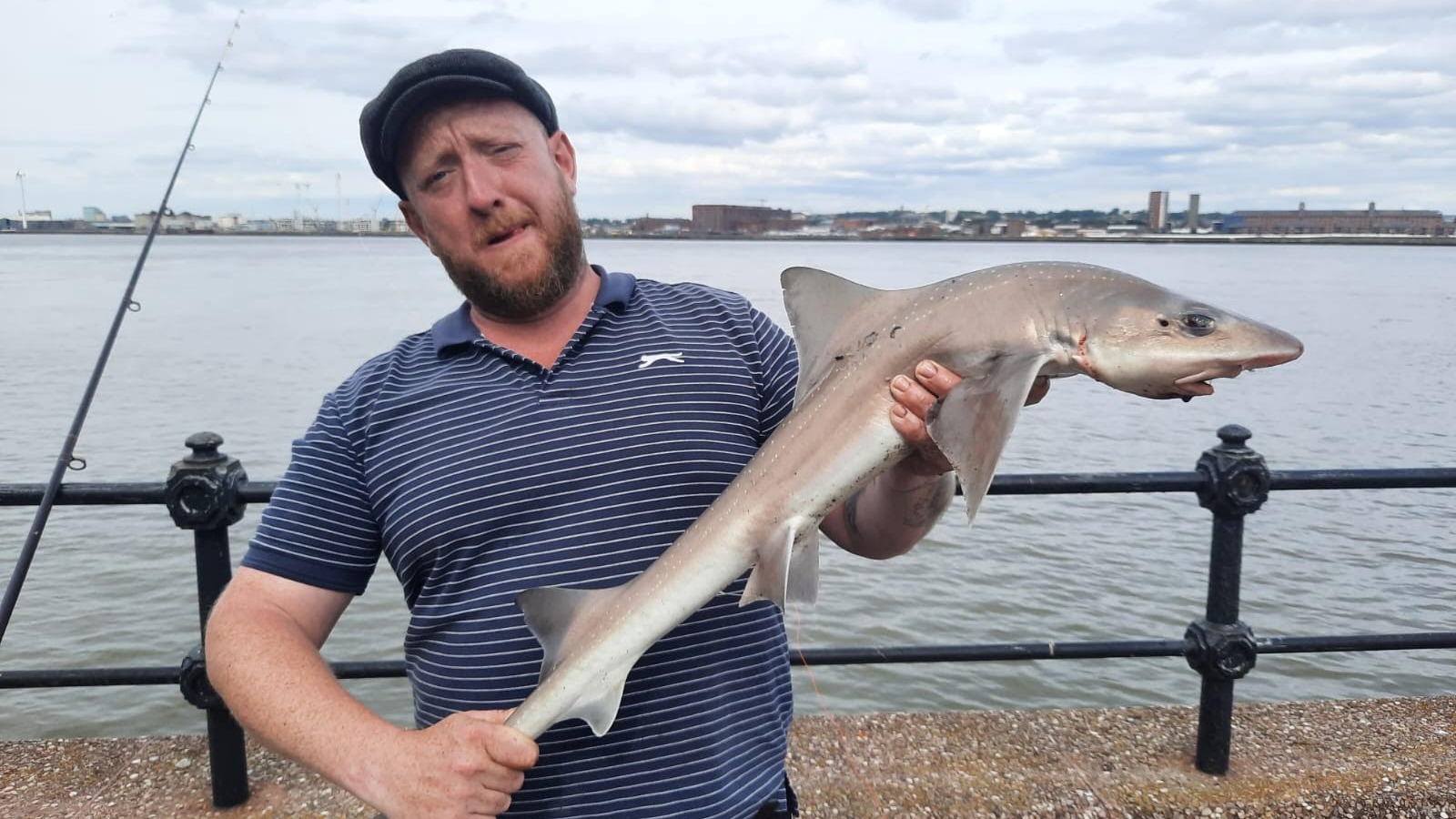River Mersey now home to five species of shark after river declared