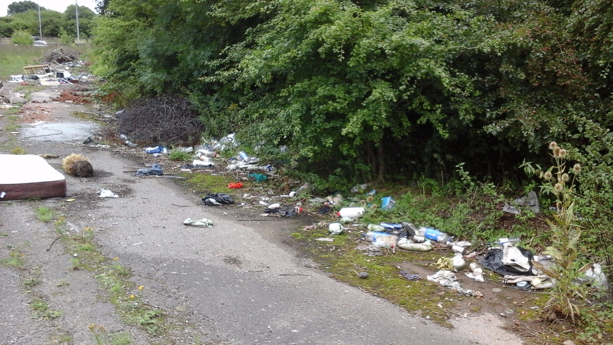 Over 4,000 bags of rubbish collected along Yorkshire's motorways this