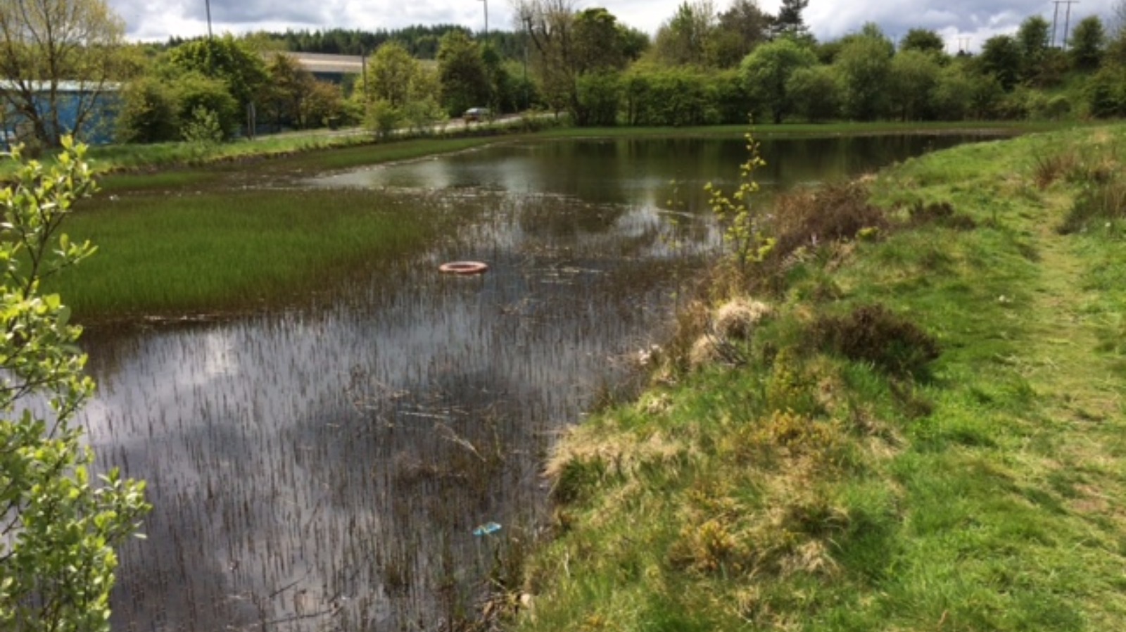 Catch of the day Fishing lakes for sale ITV News Wales