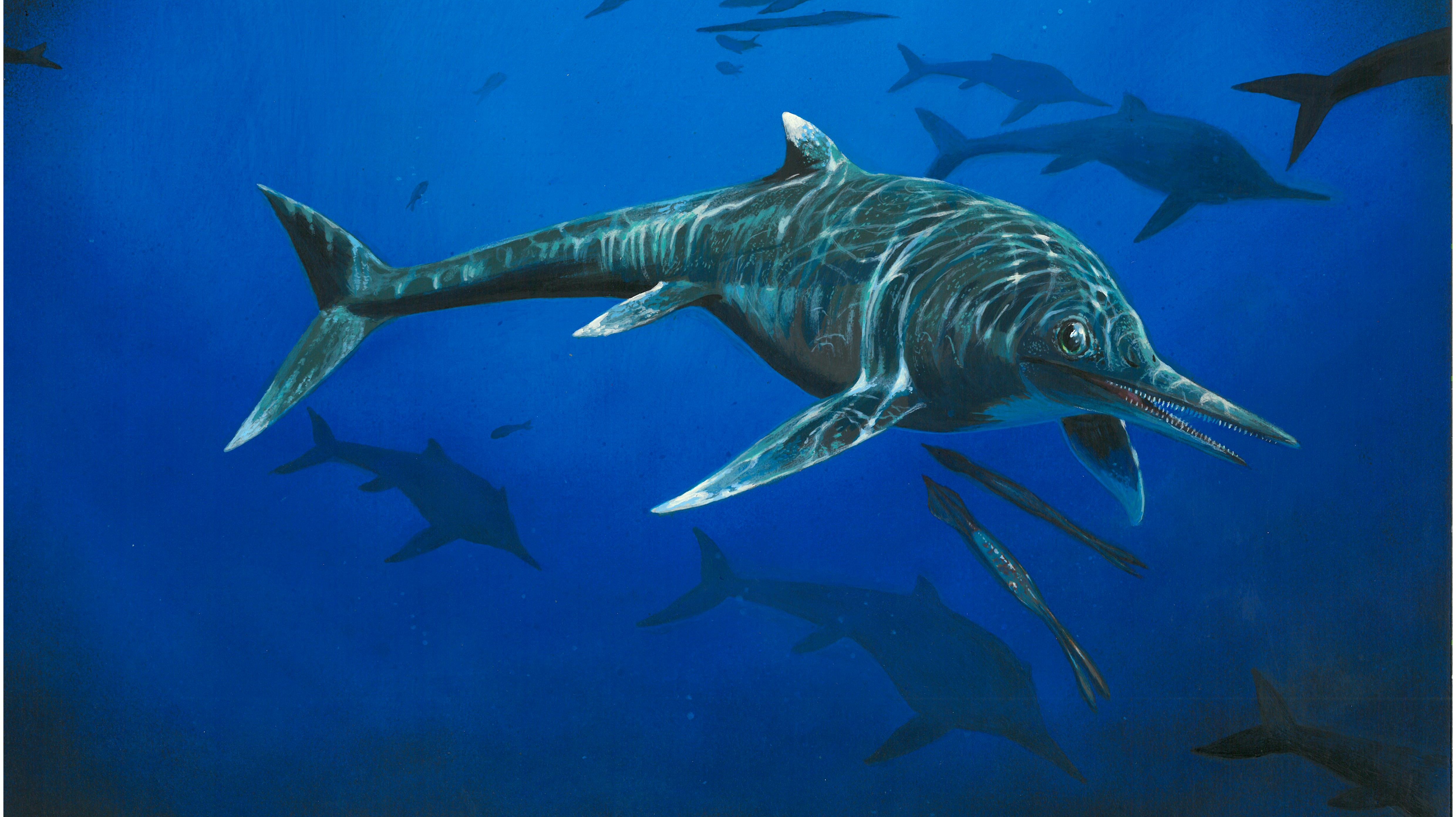 200-million-year-old-fossil-identified-as-new-species-itv-news-central